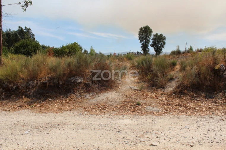 Terreno para Venda em Paranhos Foto 3
