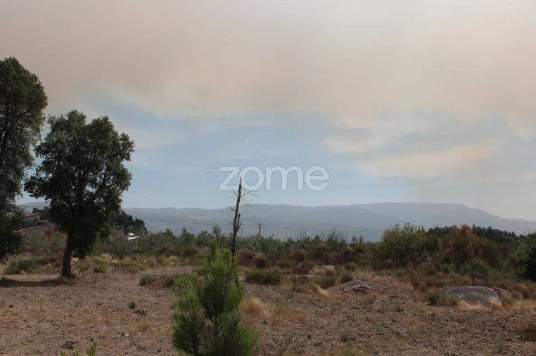 Terreno para Venda em Paranhos Foto 7