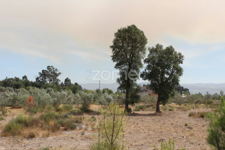 Terreno para Venda em Paranhos Foto 8