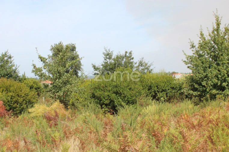 Terreno para Venda em Paranhos Foto 9