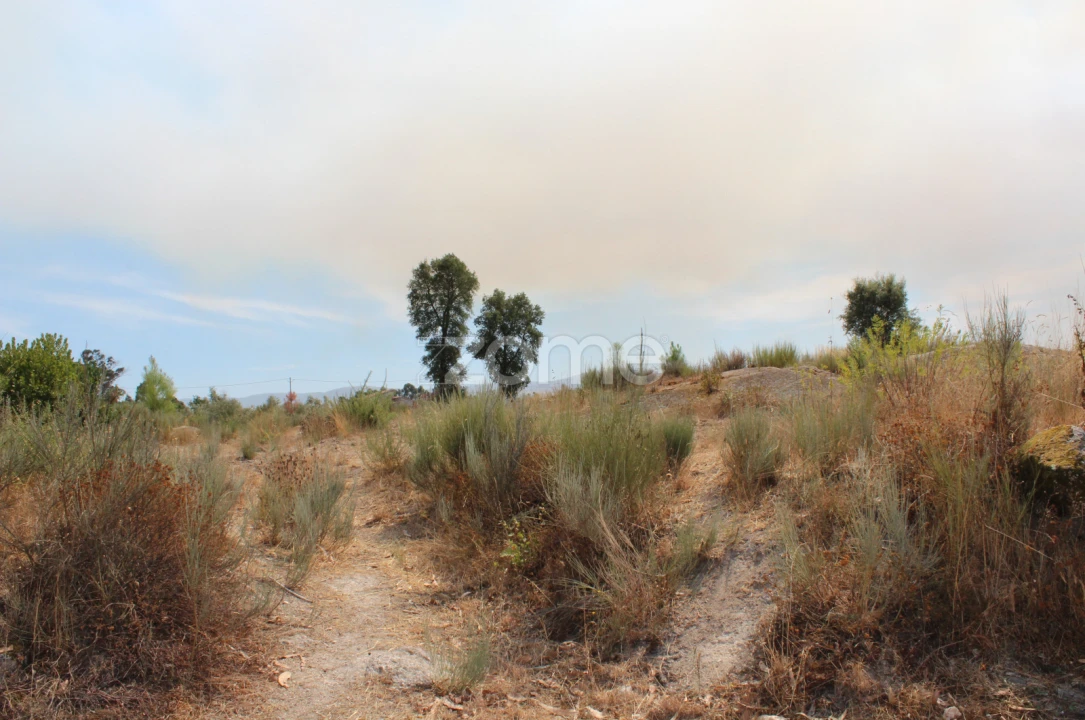 Terreno para Venda em Paranhos Foto 2