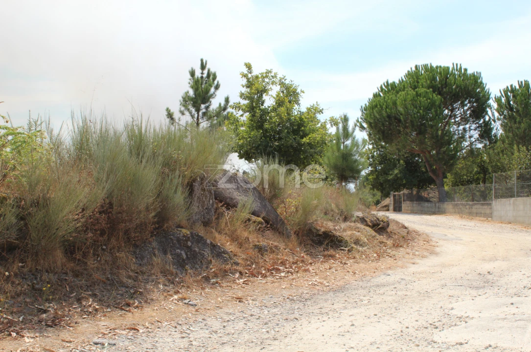 Terreno para Venda em Paranhos Foto 1
