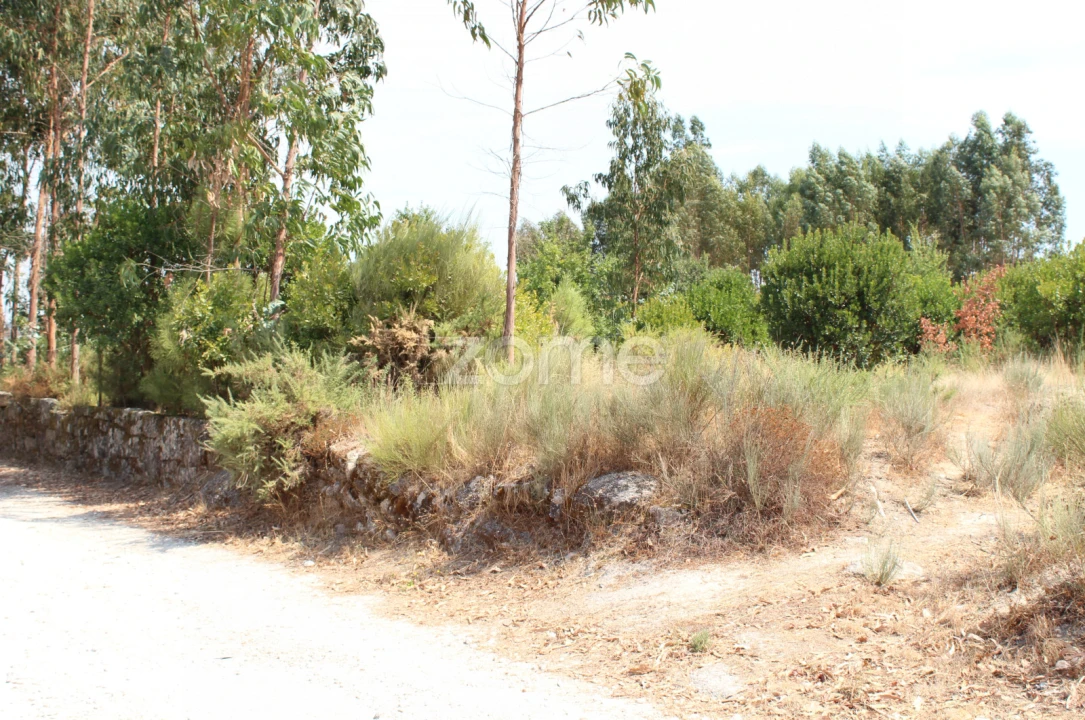 Terreno para Venda em Paranhos Foto 5
