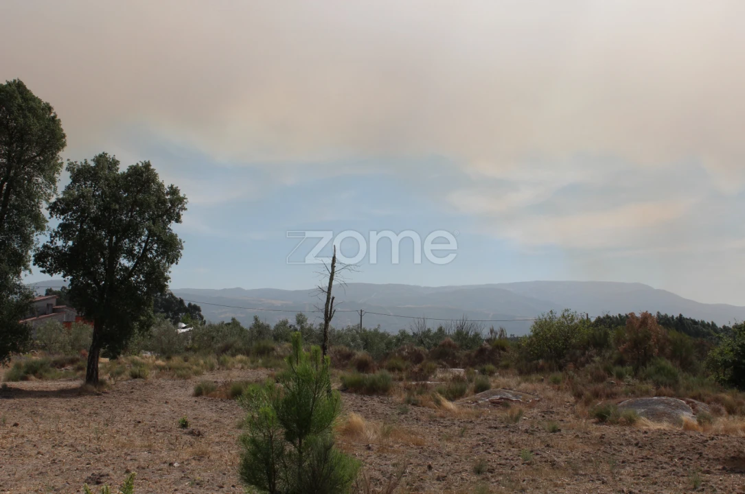 Terreno para Venda em Paranhos Foto 7