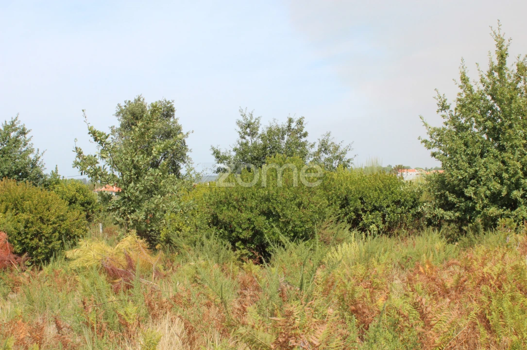 Terreno para Venda em Paranhos Foto 9