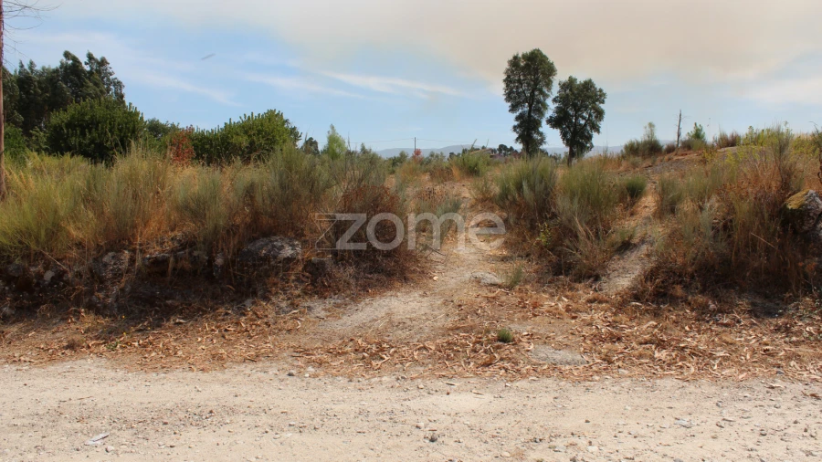 Terreno para Venda em Paranhos
