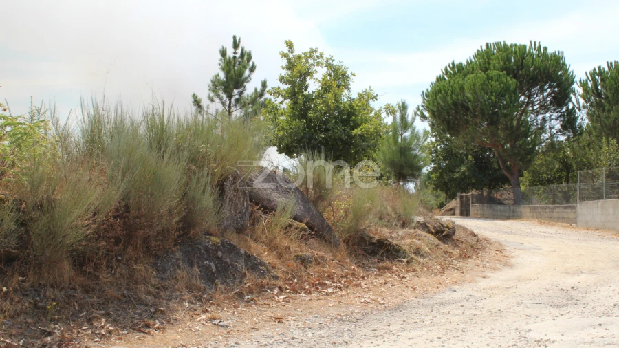 Terreno para Venda em Paranhos