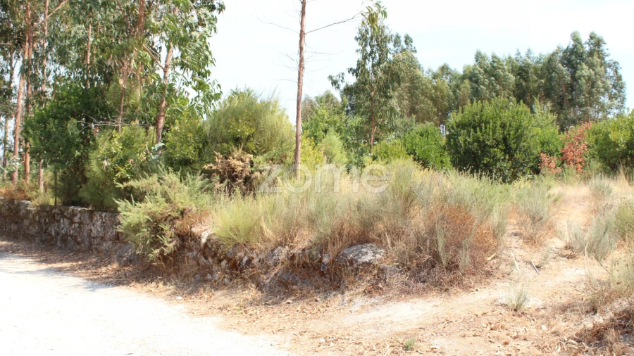Terreno para Venda em Paranhos