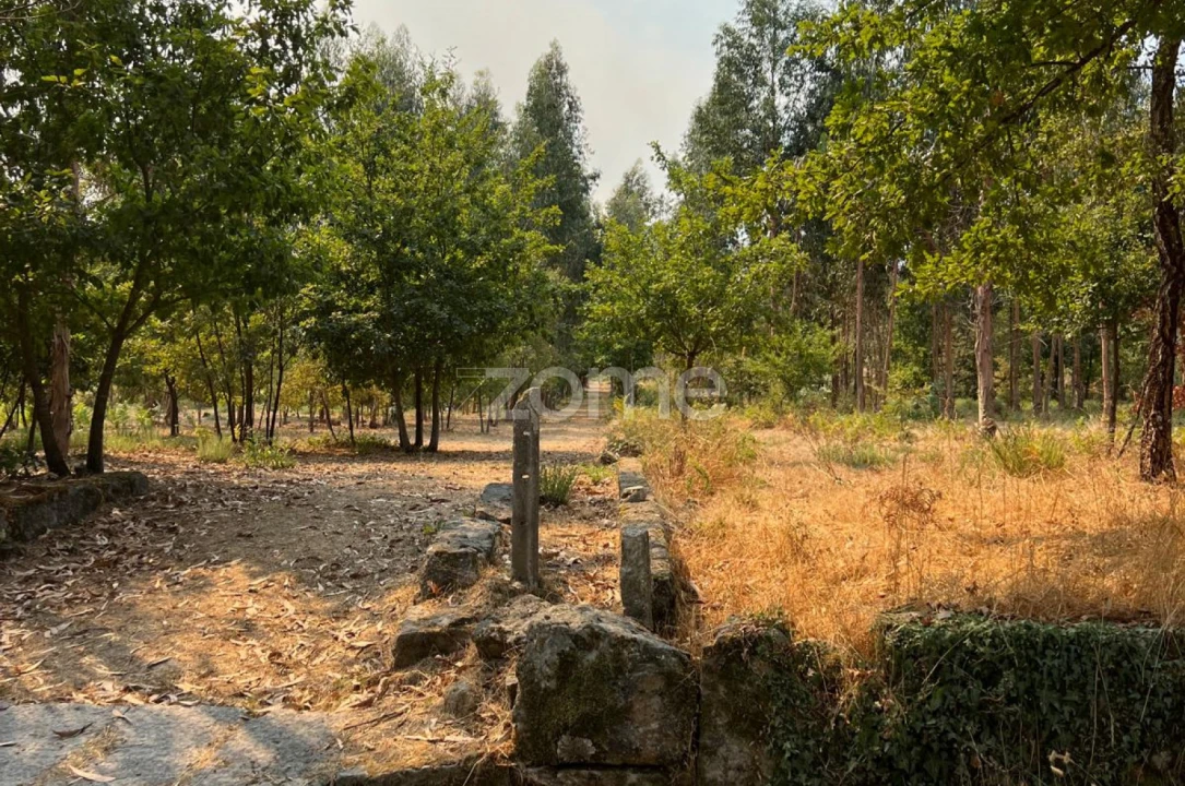 Terreno para Venda em Paranhos Foto 4
