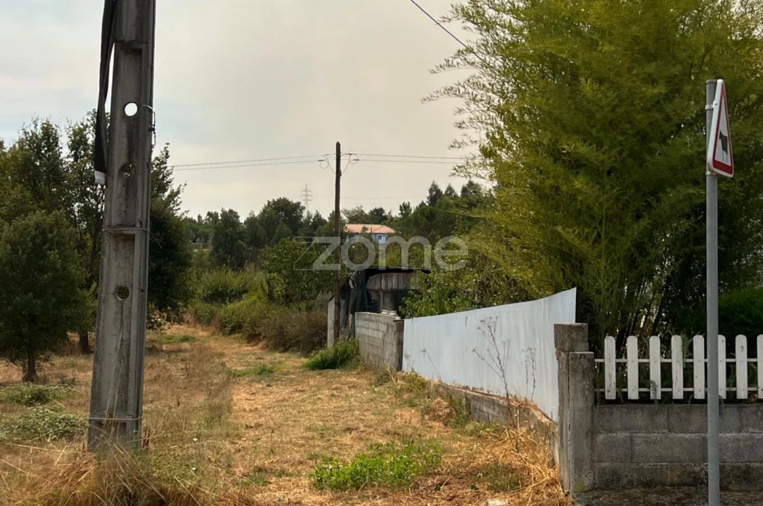 Terreno para Venda em Paranhos Foto 5