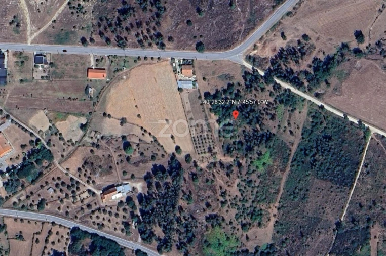 Terreno para Venda em Paranhos Foto 19