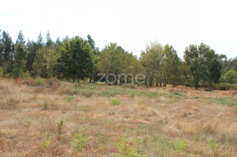 Terreno para Venda em Paranhos Foto 7