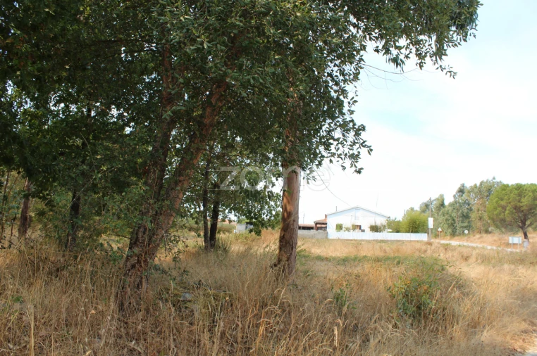 Terreno para Venda em Paranhos Foto 8
