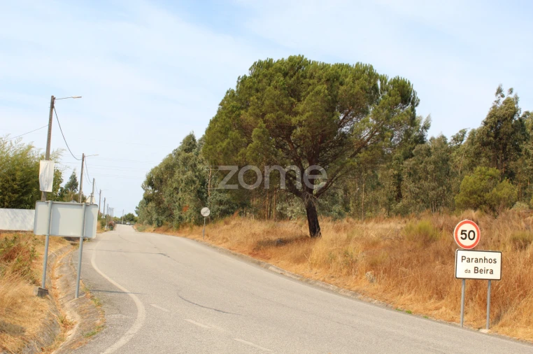 Terreno para Venda em Paranhos Foto 10