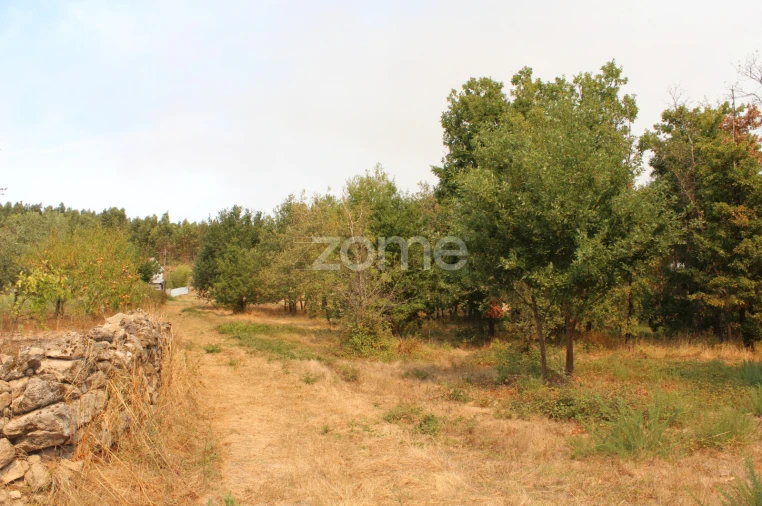 Terreno para Venda em Paranhos Foto 1