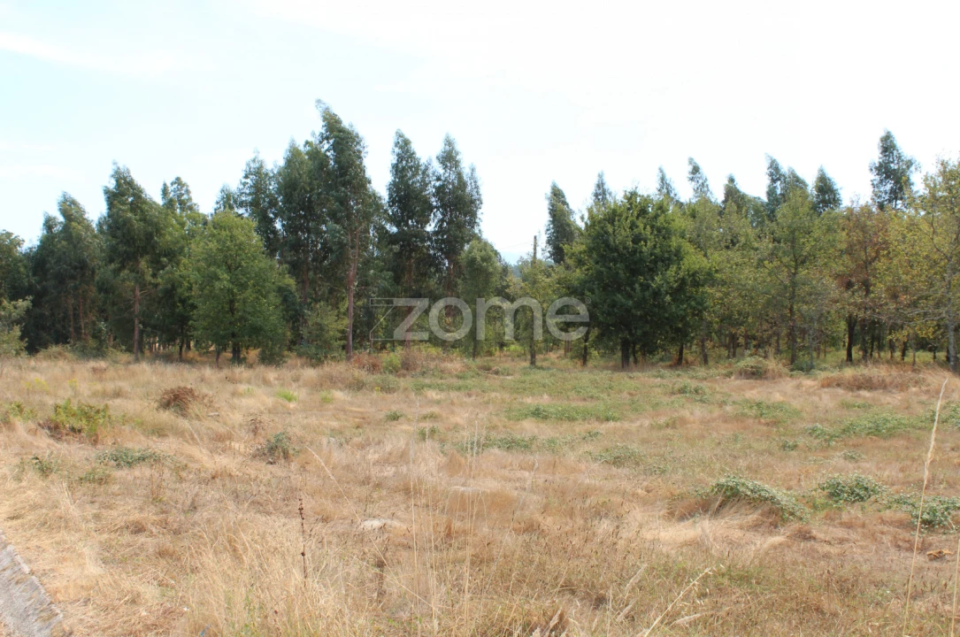 Terreno para Venda em Paranhos Foto 3
