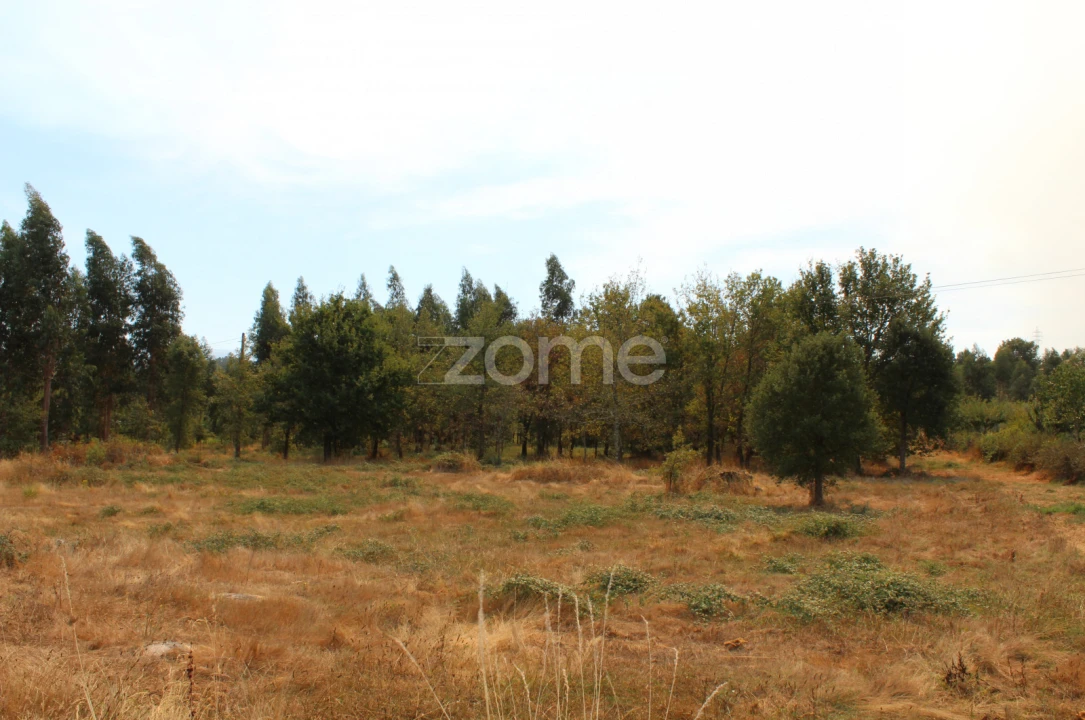 Terreno para Venda em Paranhos Foto 2