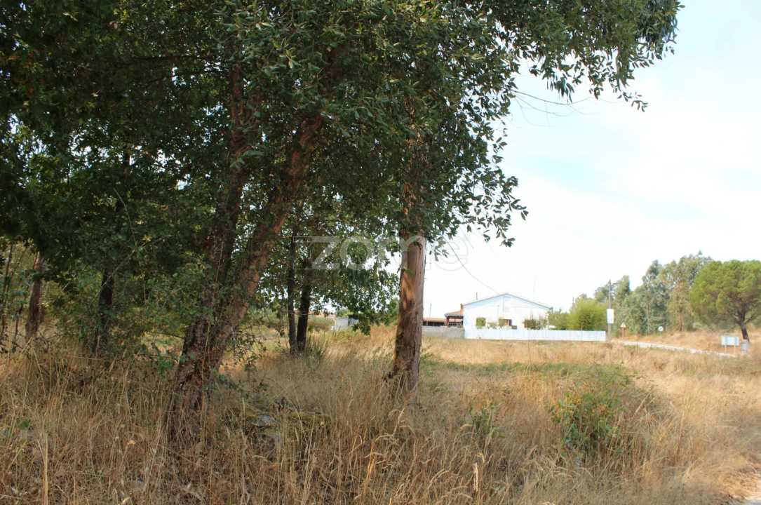 Terreno para Venda em Paranhos Foto 8