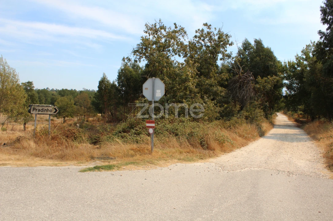 Terreno para Venda em Paranhos Foto 9