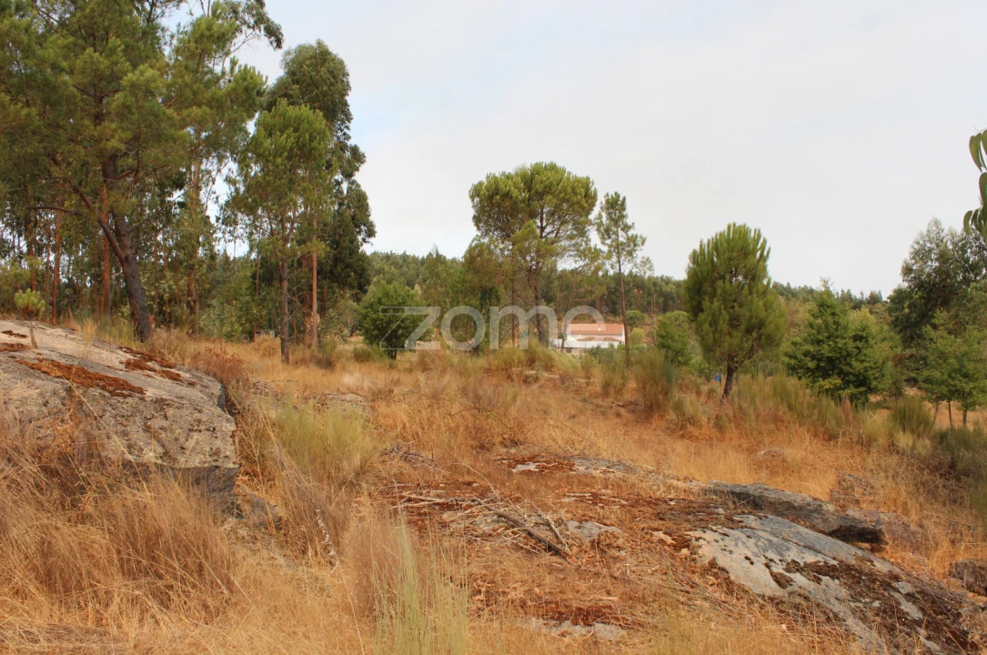 Terreno para Venda em Paranhos Foto 12