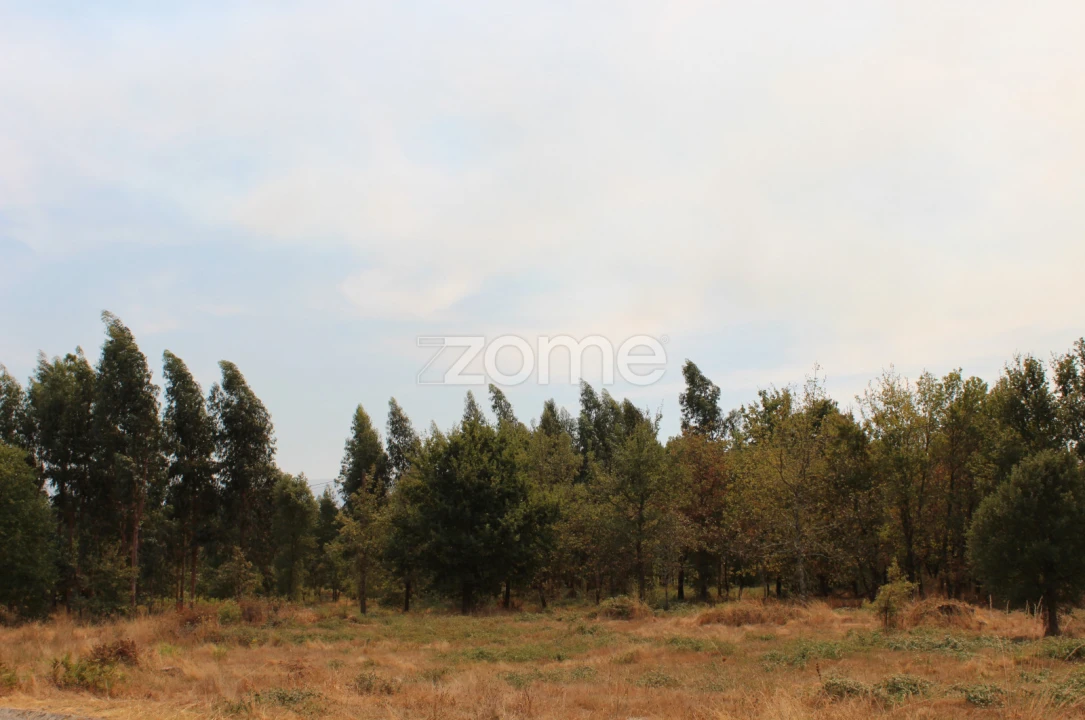 Terreno para Venda em Paranhos Foto 15