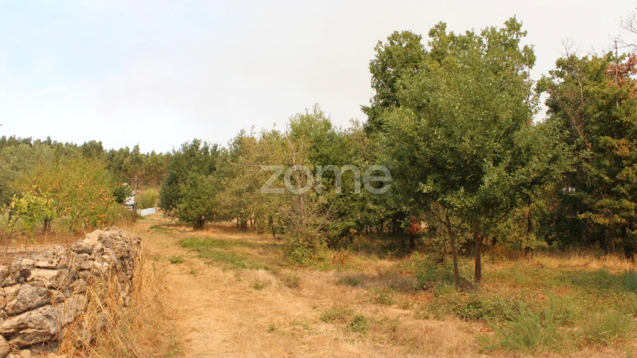 Terreno para Venda em Paranhos