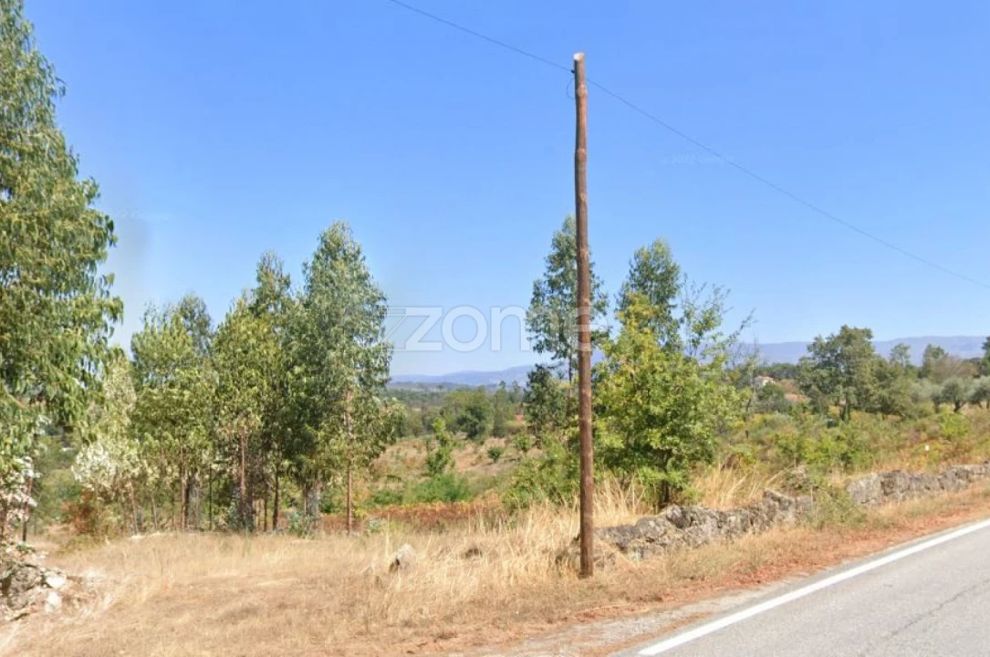 Terreno para Venda em Paranhos Foto 18