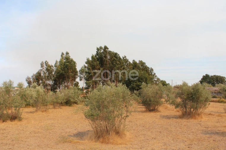 Terreno para Venda em Paranhos Foto 2