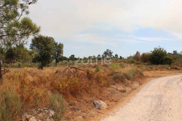 Terreno para Venda em Paranhos Foto 10
