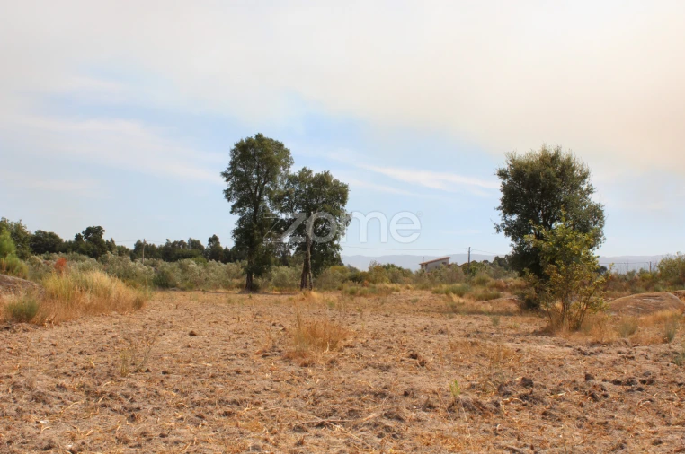 Terreno para Venda em Paranhos Foto 11