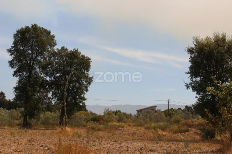 Terreno para Venda em Paranhos Foto 12