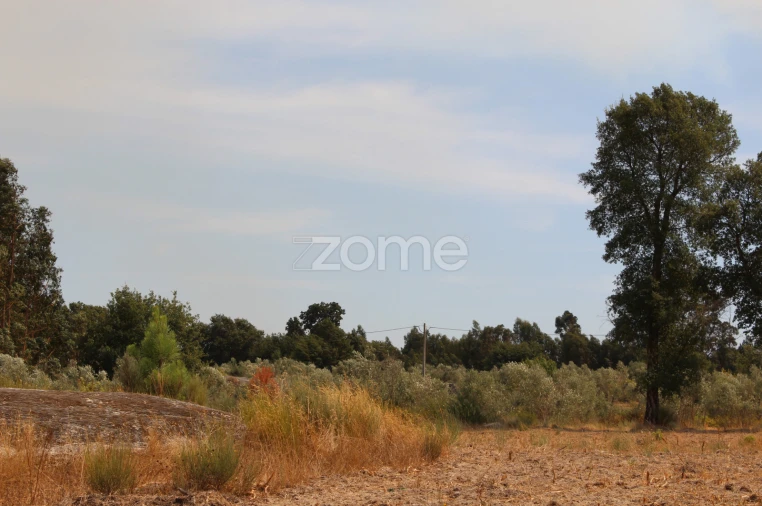 Terreno para Venda em Paranhos Foto 13