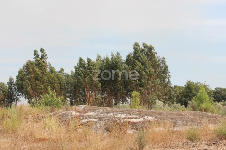 Terreno para Venda em Paranhos Foto 1