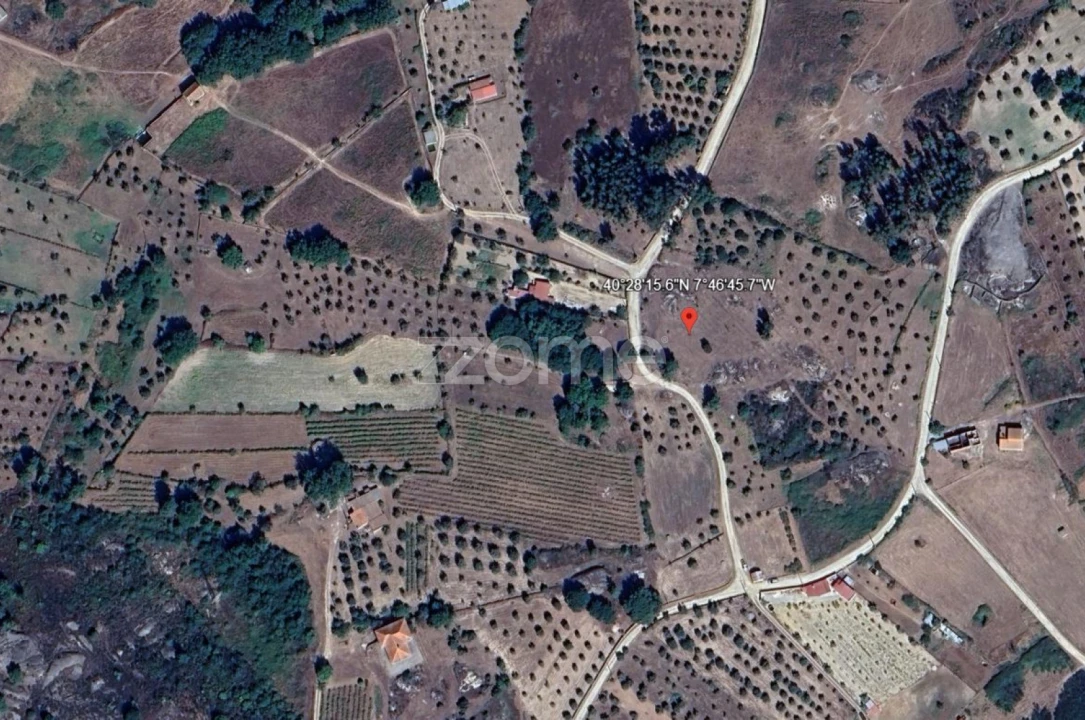 Terreno para Venda em Paranhos Foto 16