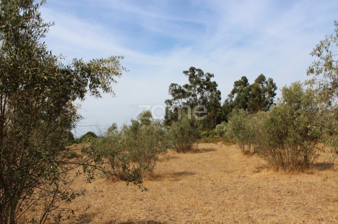 Terreno para Venda em Paranhos Foto 3