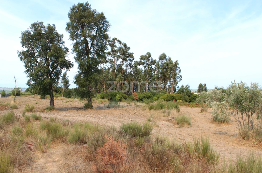 Terreno para Venda em Paranhos Foto 4