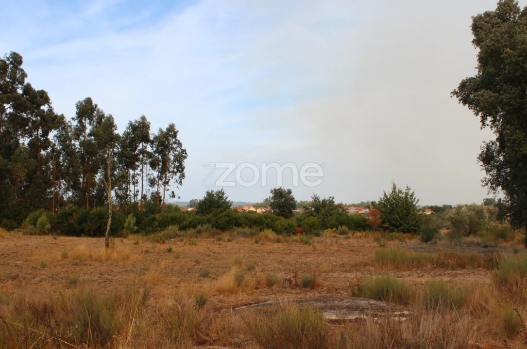 Terreno para Venda em Paranhos Foto 5
