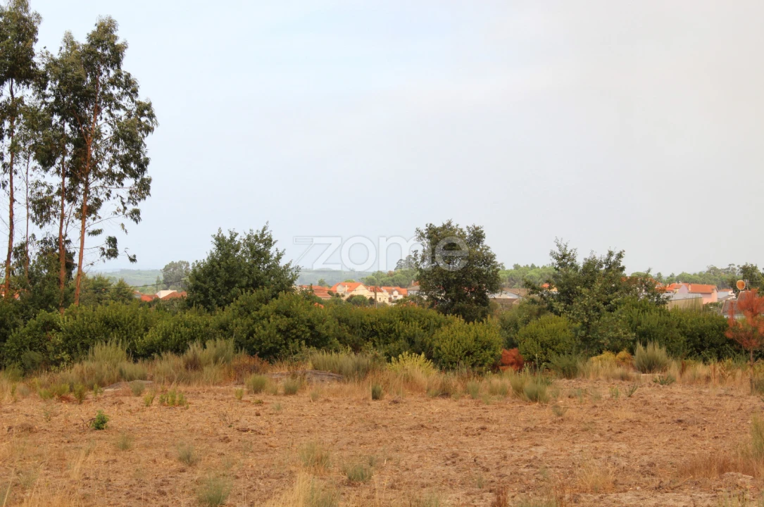 Terreno para Venda em Paranhos Foto 7