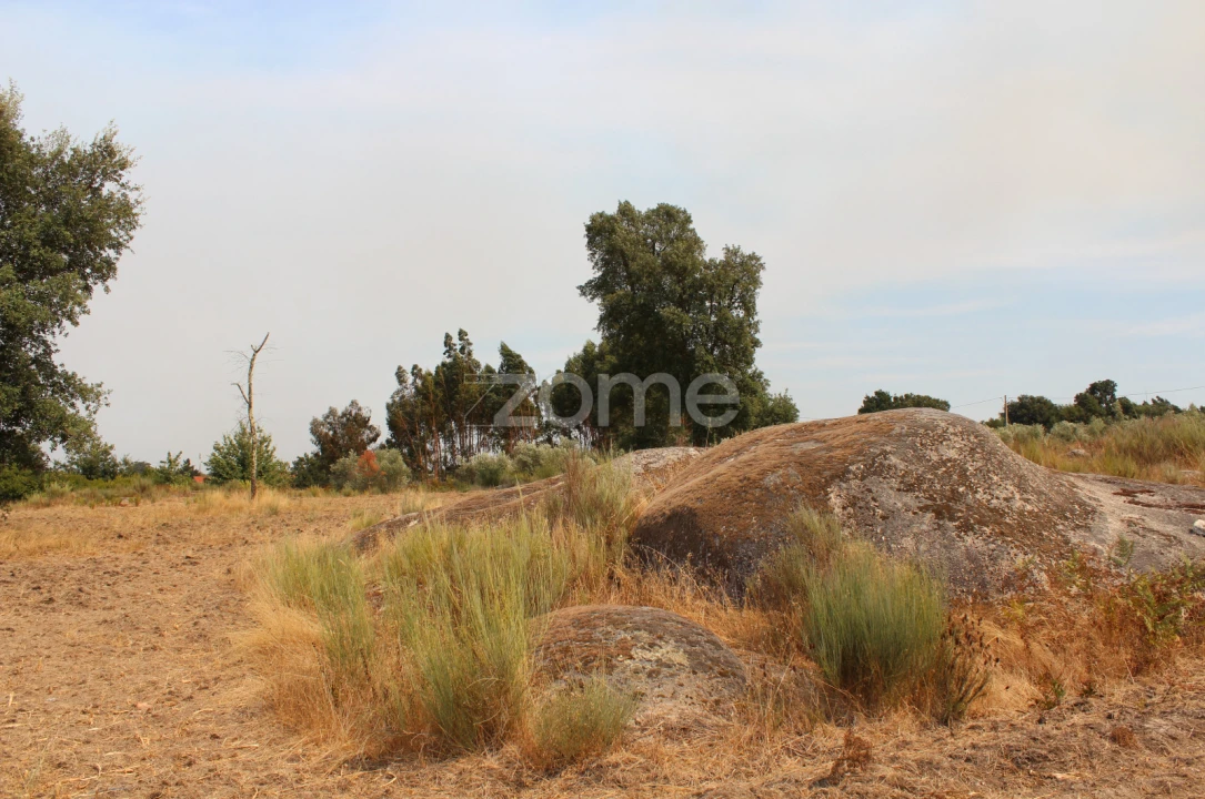 Terreno para Venda em Paranhos Foto 8