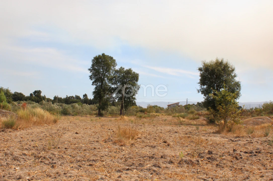 Terreno para Venda em Paranhos Foto 11