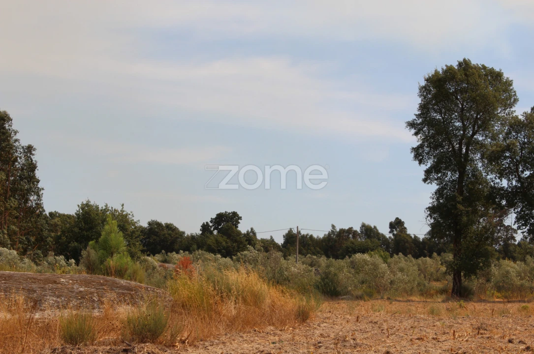 Terreno para Venda em Paranhos Foto 13