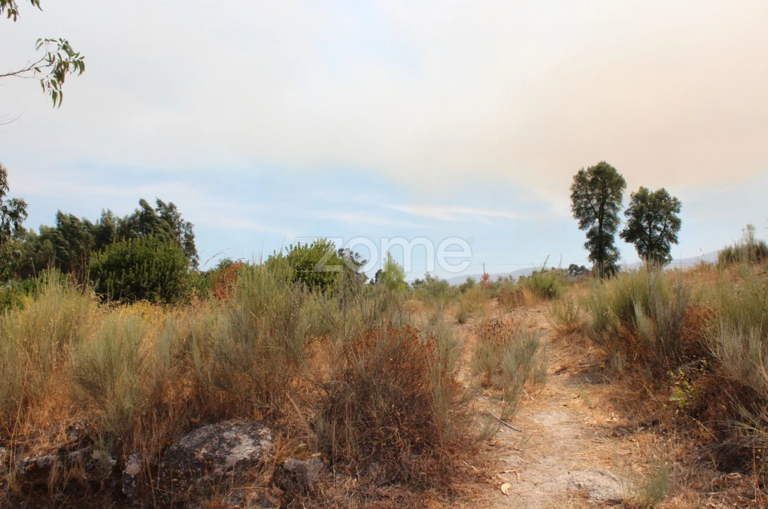 Terreno para Venda em Paranhos Foto 14