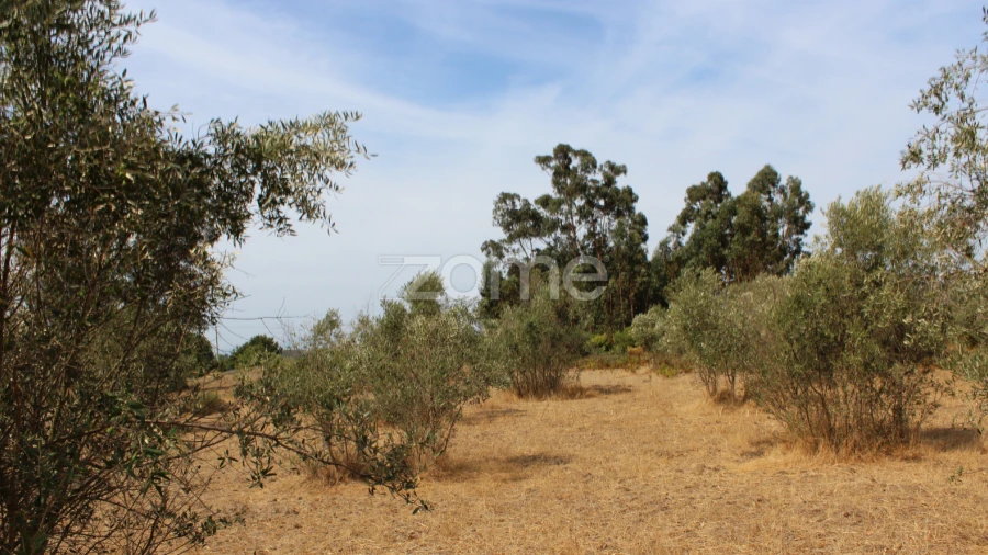 Terreno para Venda em Paranhos