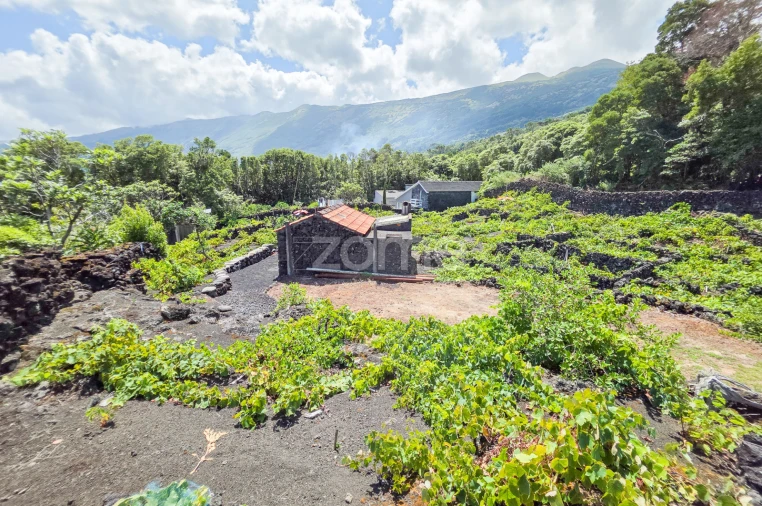 Terreno para Venda em Prainha Foto 14