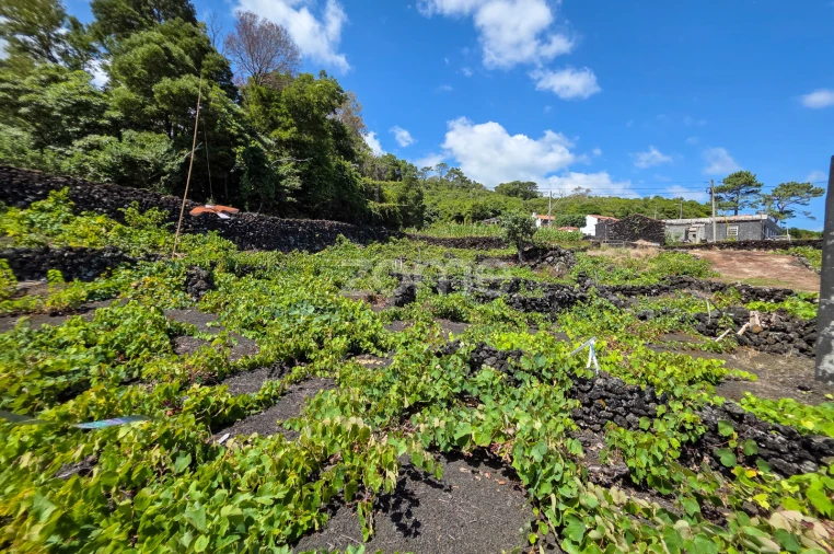 Terreno para Venda em Prainha Foto 21