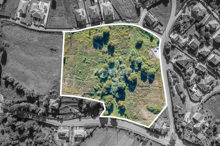 Terreno para Venda em Reboreda e Nogueira Foto 1