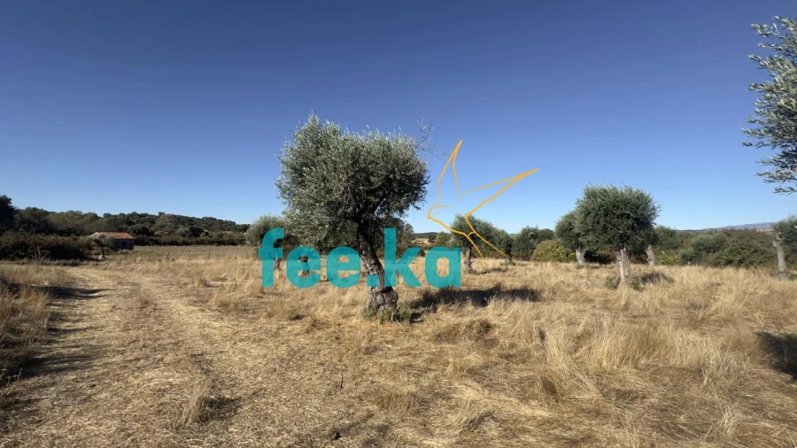 Terreno para Venda em Oledo Foto 13