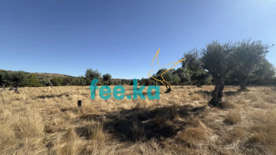 Terreno para Venda em Oledo Foto 17