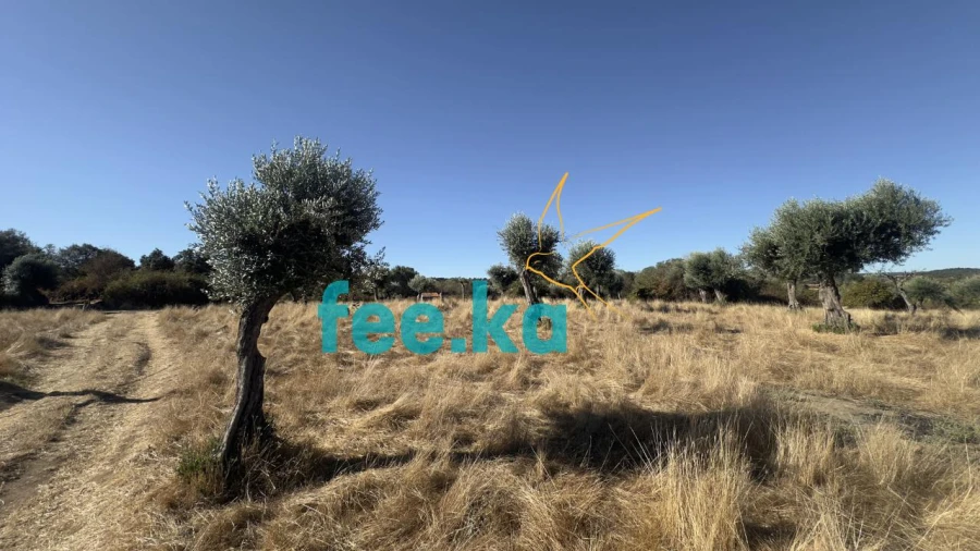 Terreno para Venda em Oledo Foto 18