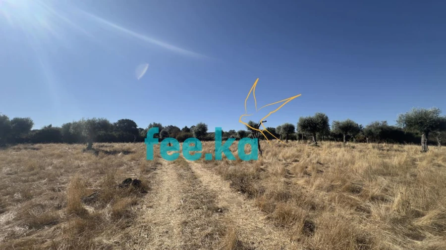 Terreno para Venda em Oledo Foto 21